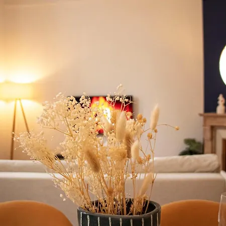 Ideal Couple - Coeur Historique De - Spacieux - Wifi Apartment *